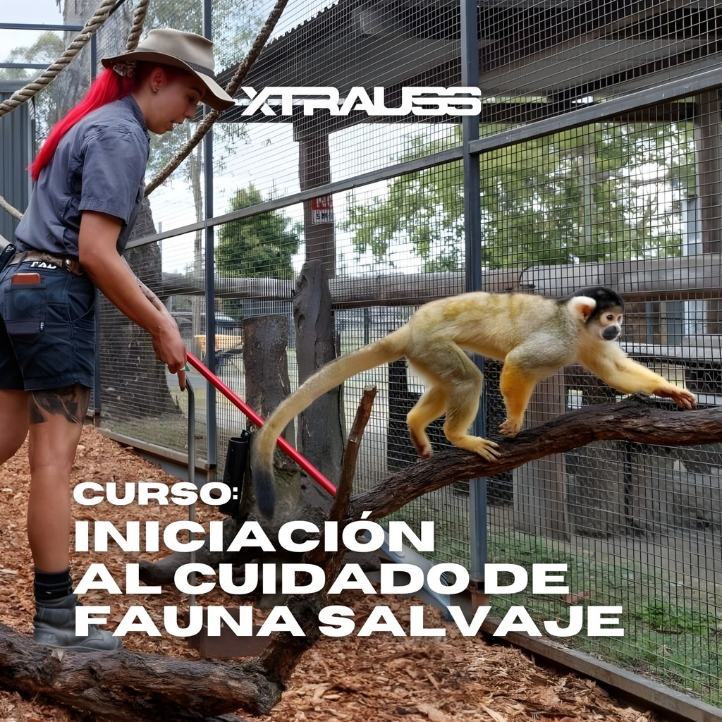Iniciación al Cuidado de Fauna Salvaje