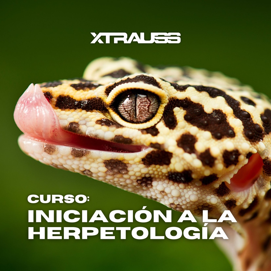 Iniciación a la Herpetología